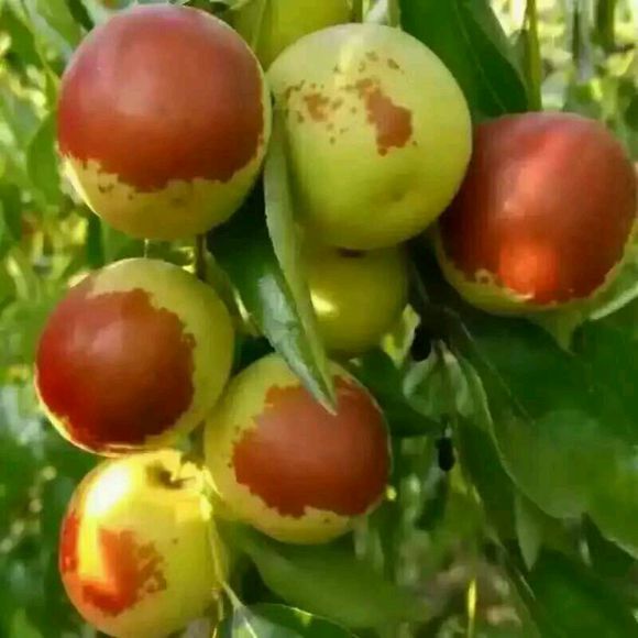 怎么过中秋，吃点啥？？