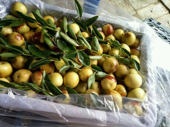 怎么过中秋，吃点啥？？