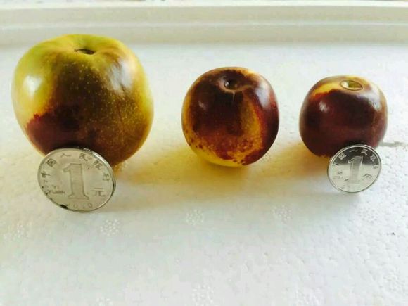 怎么过中秋，吃点啥？？