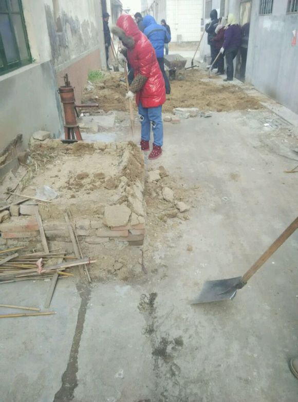 政府，你这是为什么啊