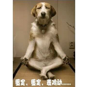 做这样的女人！