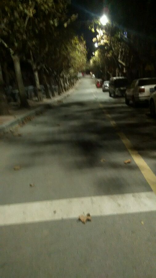 最近一个劲的感谢减肥……却一直在吃的路上……没法治了