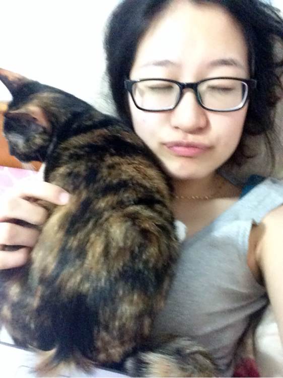 有没有养猫的朋友？？