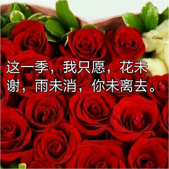 我不信有人能破解