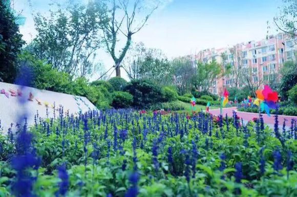 【个人见解】关于买房。学区。自居