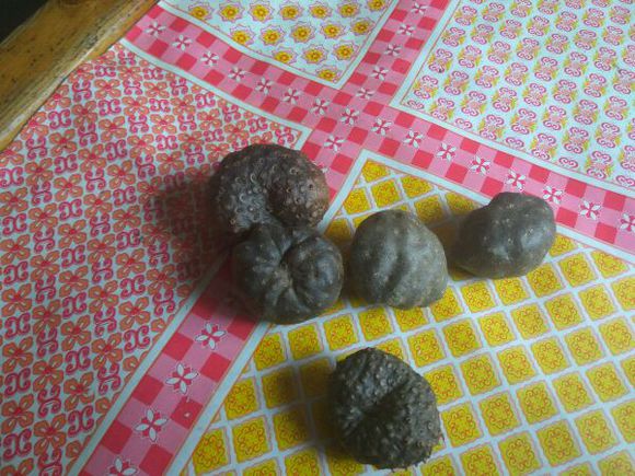 求科普这是什么药材？