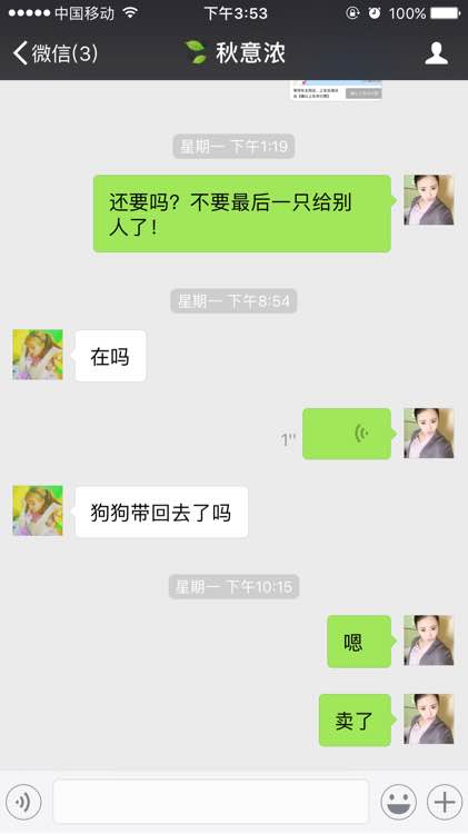 感谢网友