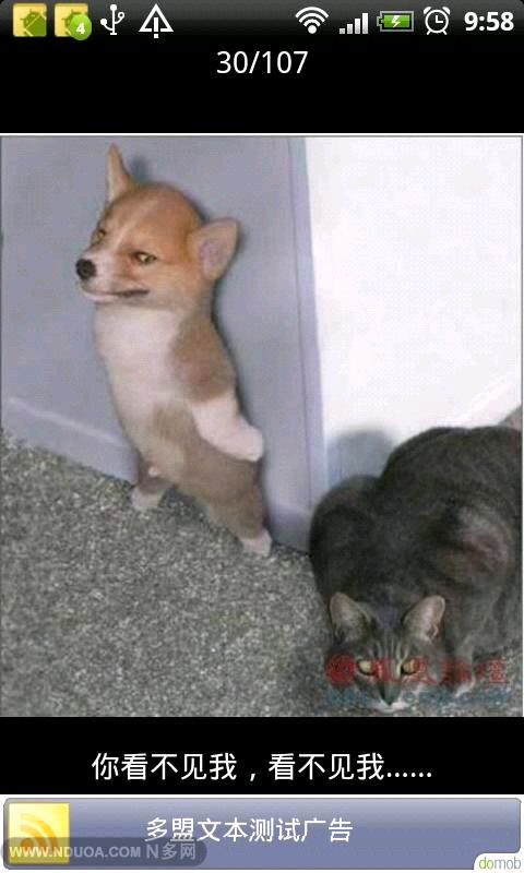 嘻嘻