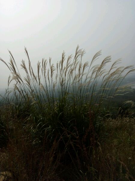 明天户外爬山