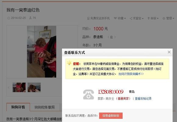 在陈女士家买了一只小泰迪，养了四天就生病了...提醒大家小心
