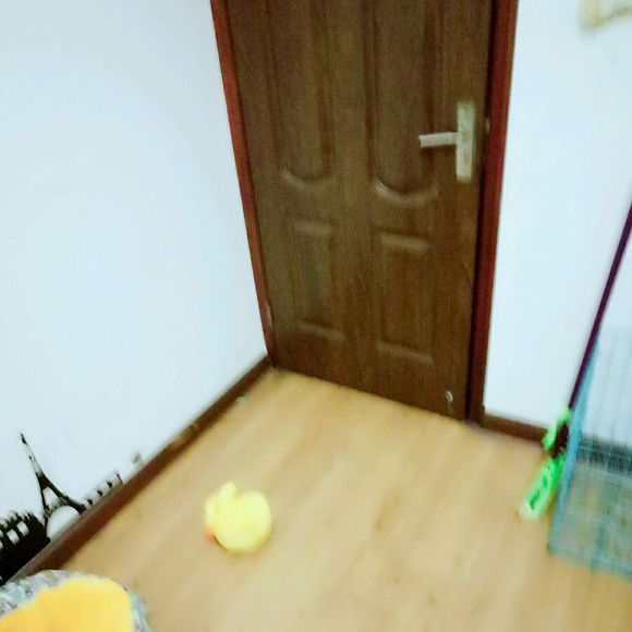 豪洼夜市芒果ktv附近有一单间出租