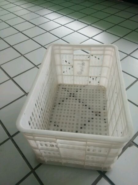 跪谢，求告知那里有买水果筐的