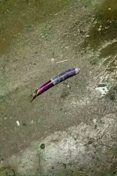 真希望以后能远离都市的喧嚣,过