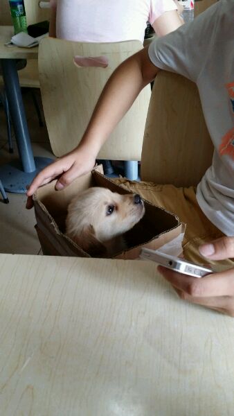 中午吃饭看见的
