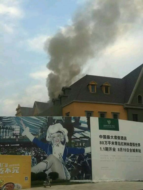 红树林又出事了，这是待咋？