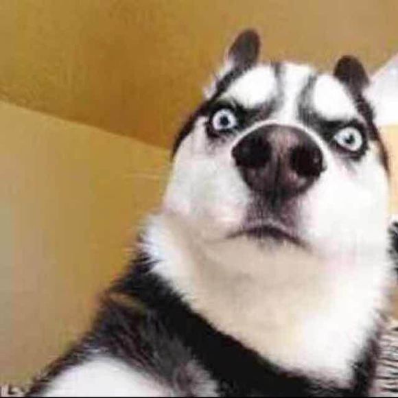 收台ipad    mini4，