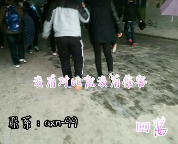 对镇楼图有兴趣的来看看呀