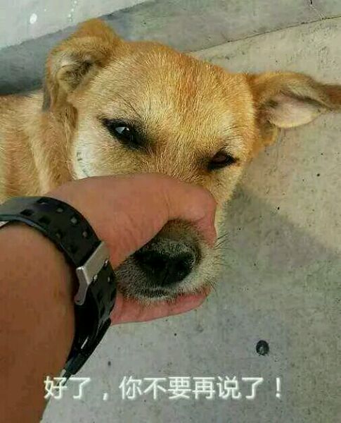 就在双十一这个周，分手了