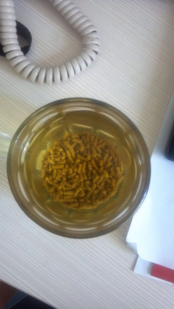 一个胖子的减肥计划