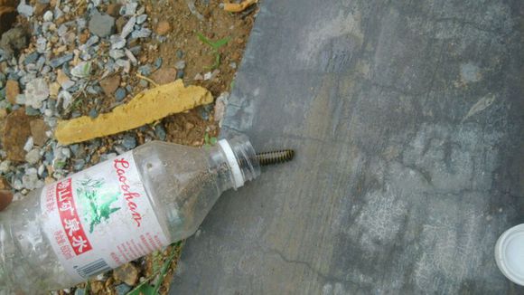 刚领养的宠物就是不干摸