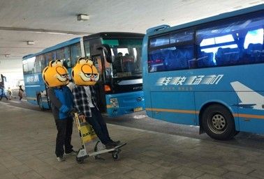 “菲要让你乐”乐翻全青岛