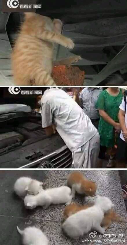 好感人