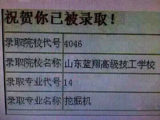 我被媳妇甩了  有木有卖金毛或者哈士奇的