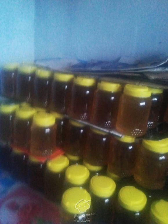 有木有想买自家纯蜂蜜得？