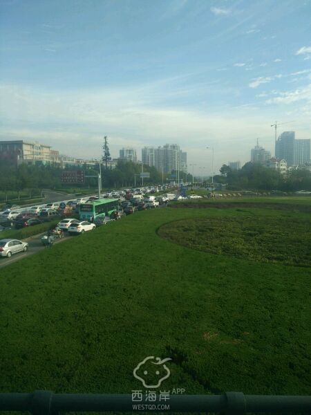 堵车啊堵车