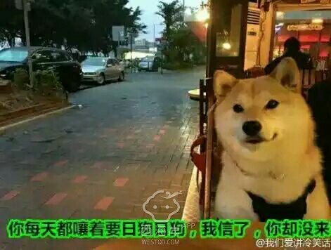 同志们有没有在海信的？通过哪个
