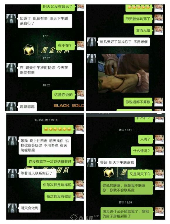 狗永远是狗，有时候人连狗都不如