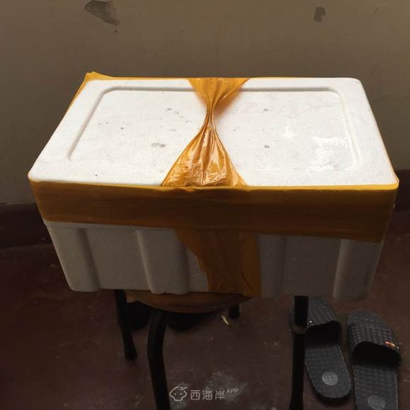 万能的网友
啊，火车可以带水产品吗？包装如图