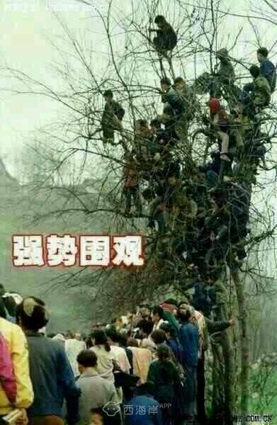 黄岛的孩子们，牛逼的来找我