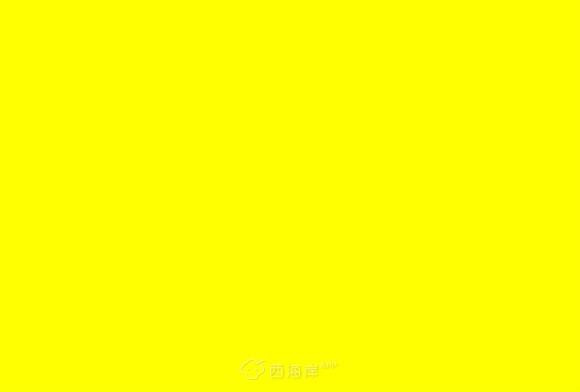 求领养！可怜的被遗弃的小狗一只！好心人快进！