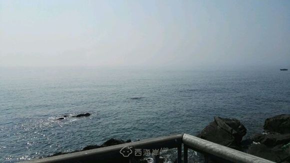 房子怎么和旅游公司签约，做出租用？