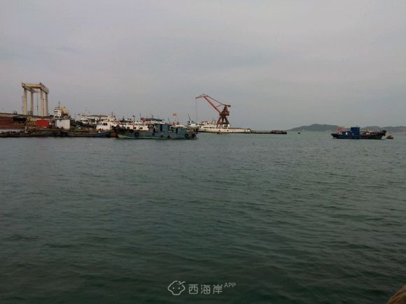 黄岛哪有好的海钓地点，求推荐