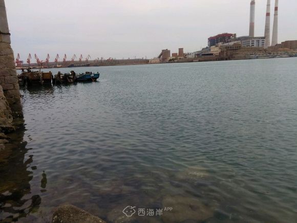 黄岛哪有好的海钓地点，求推荐