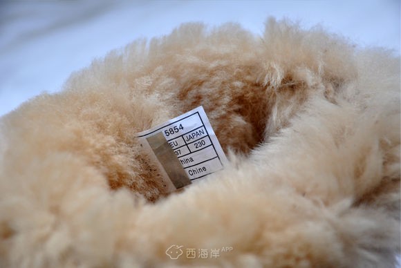 我想爆照。。。。。。。会不会火了呀