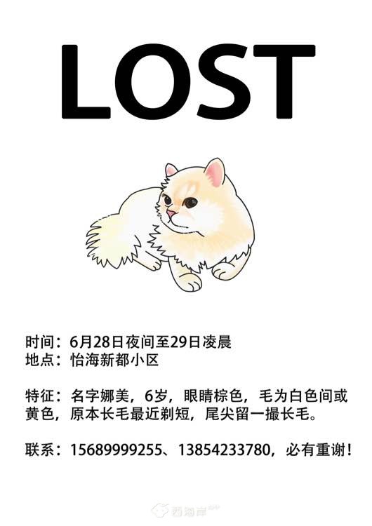 寻猫启事，必有重谢