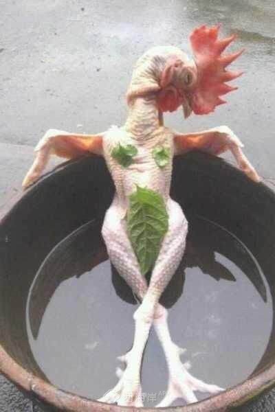 实验中学游泳馆年卡 次卡多钱啊？现在营业么？