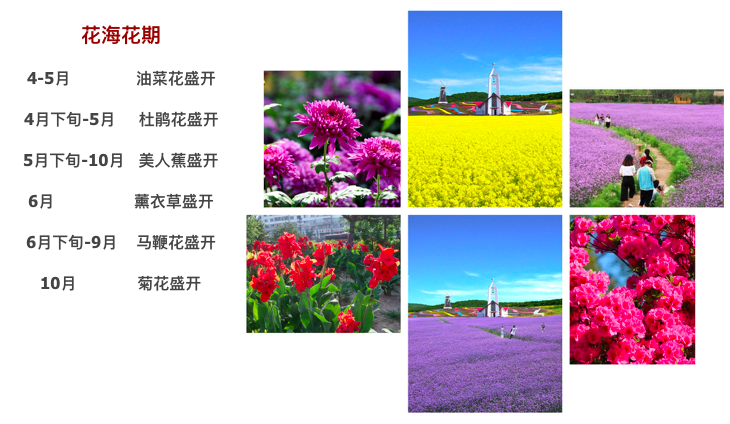 屏幕快照 2018-01-08 下午3.57.57.png