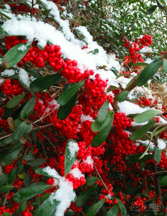 屏幕快照 2018-01-09 上午9.55.52.png