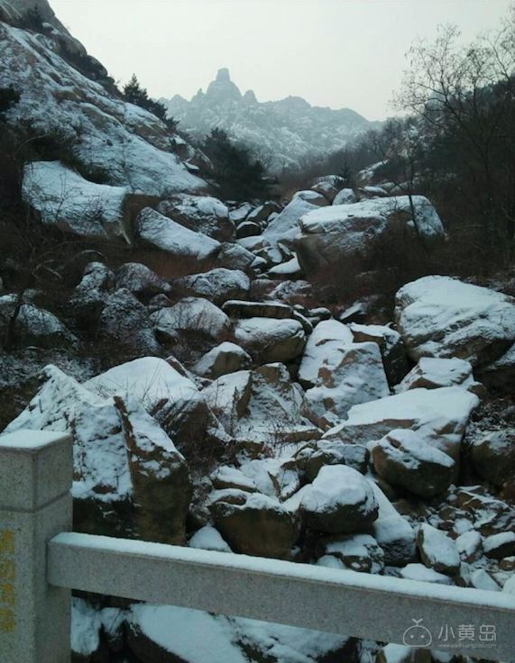 屏幕快照 2018-01-09 上午9.55.32.png