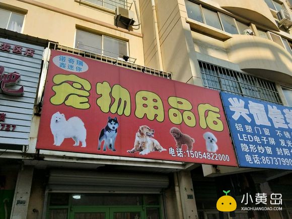 大家别再上当了，拿死狗滥竽充数