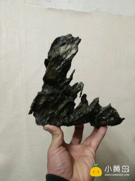 玩附树盆景，请认准英石附石