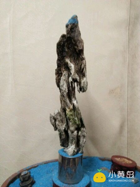 玩附树盆景，请认准英石附石