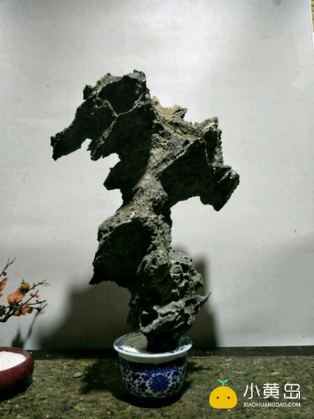 玩附树盆景，请认准英石附石