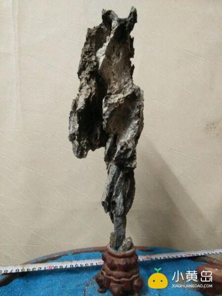 玩附树盆景，请认准英石附石