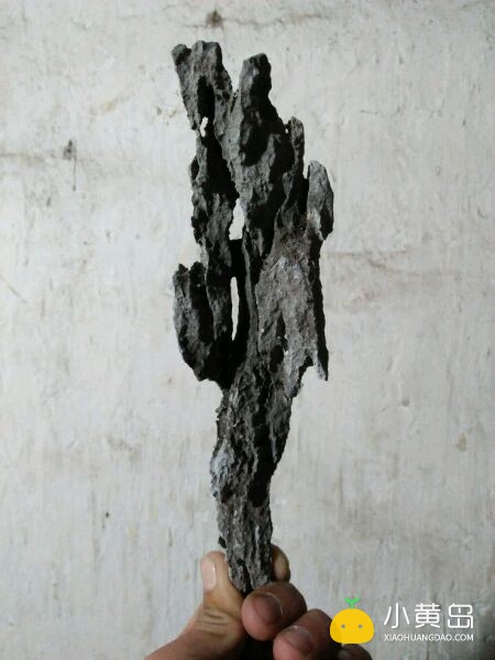 玩附树盆景，请认准英石附石