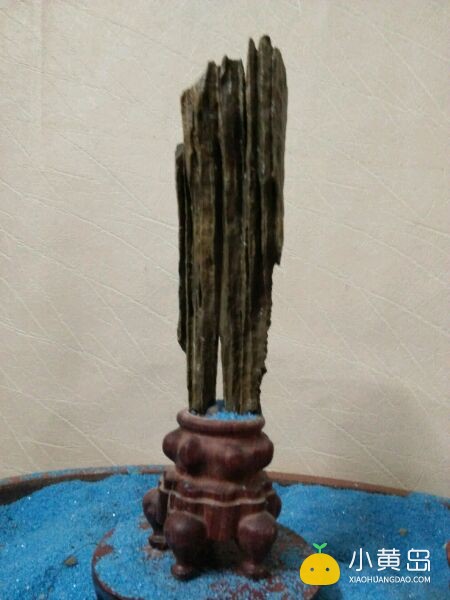 玩附树盆景，请认准英石附石